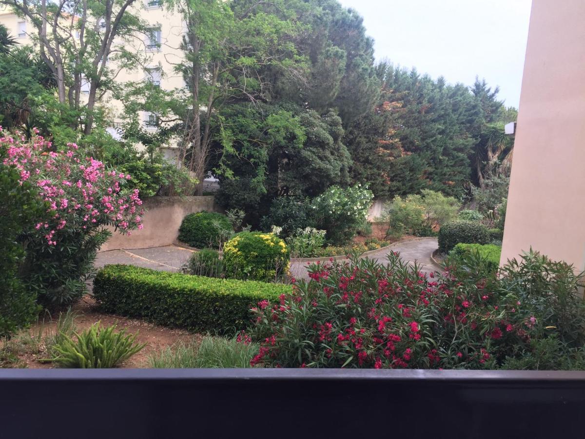 Studio Cabine,4 Personnes ,Renove,Au Calme,200 M De La Plage,Parking Prive แซ็ต ภายนอก รูปภาพ
